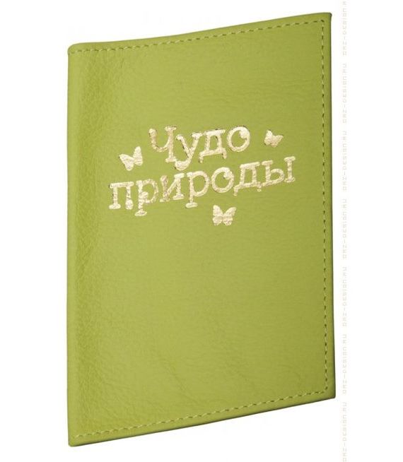 прописка в Кусе
